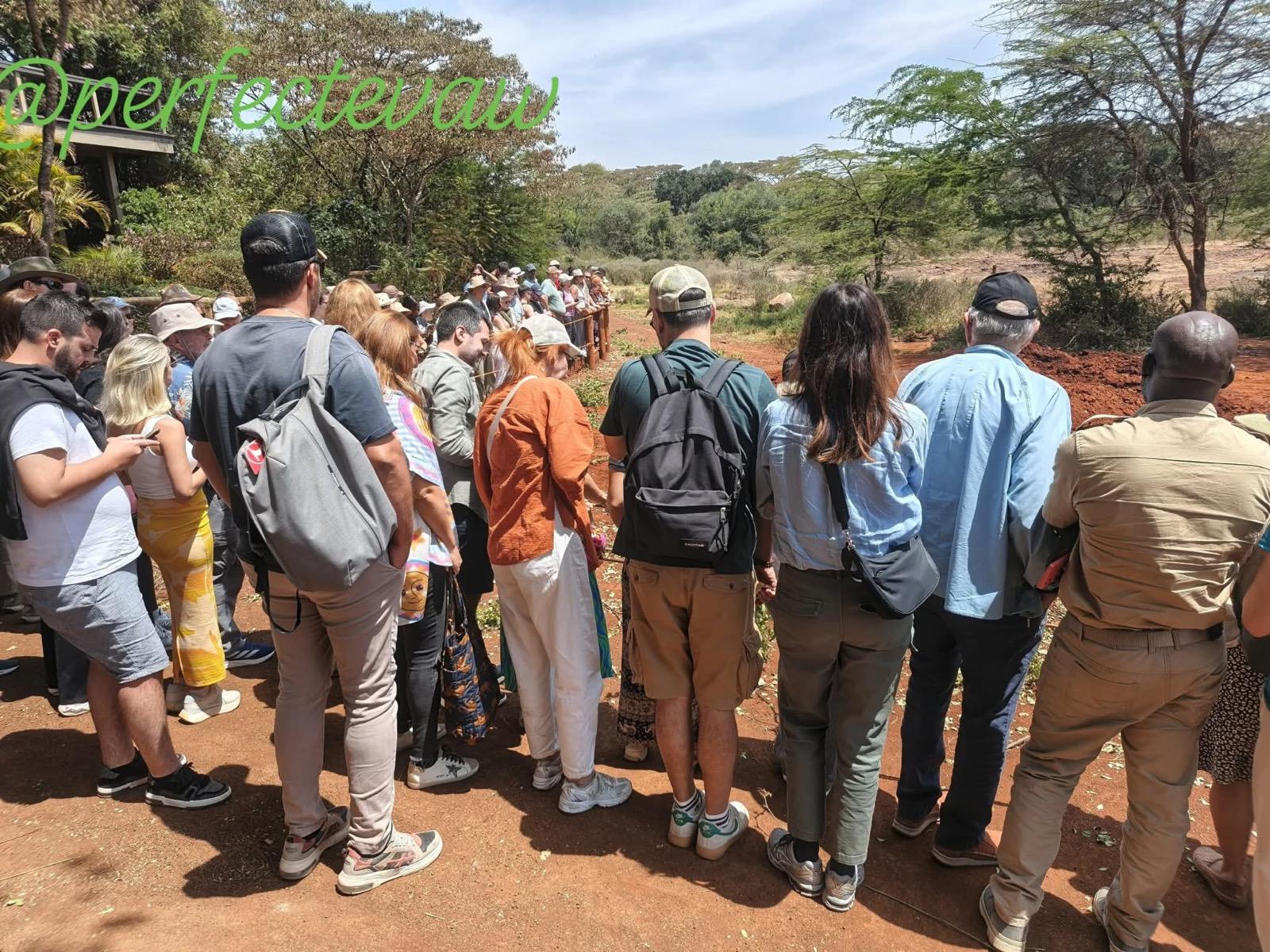 Day Trip To Giraffe Center, Elephant Orphanage And Bomas Of Kenya- Nairobi