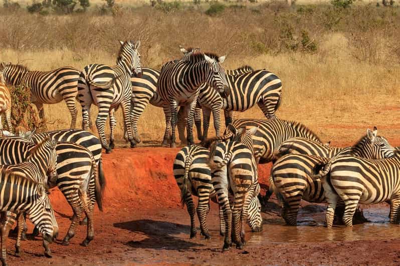 3 DAYS 2 NIGHTS SAFARI TO TSAVO EAST NATIONAL PARK FROM NAIROBI