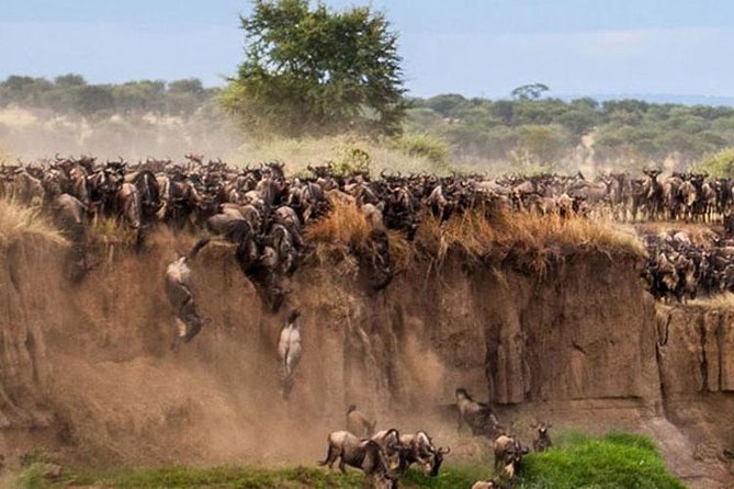 OVERNIGHT PRIVATE SAFARI TO MASAI MARA
