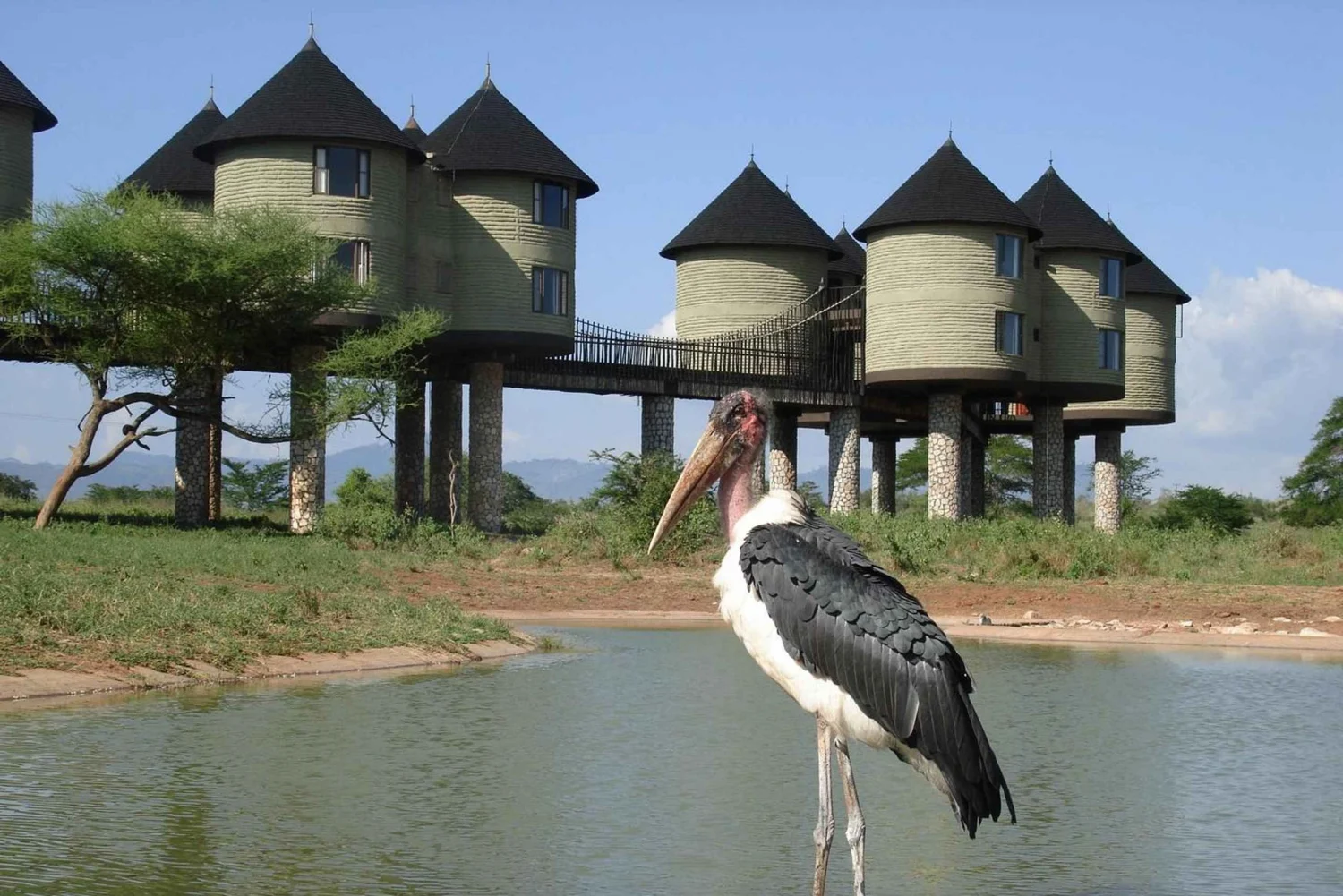 Overnight Private Safari To Saltlick Lodge From Diani/Mombasa/Kilindini Harbour