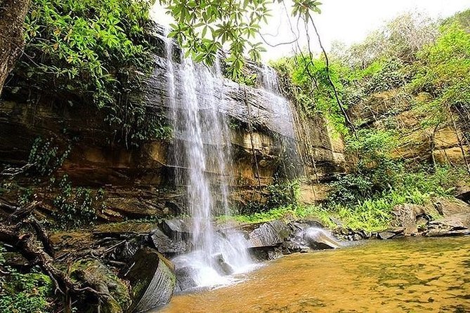 OVERNIGHT TOUR TO SHIMBA HILLS FROM MOMBASA