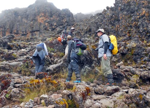 DAY EXCURSION AT MT KILIMANJARO