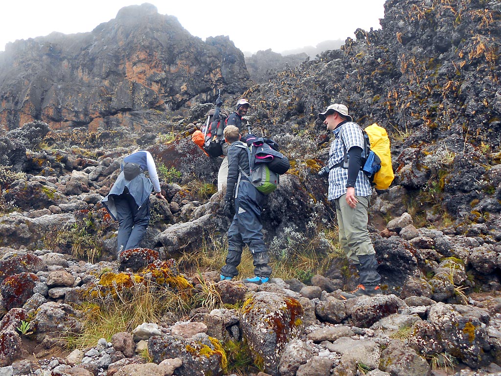 DAY EXCURSION AT MT KILIMANJARO