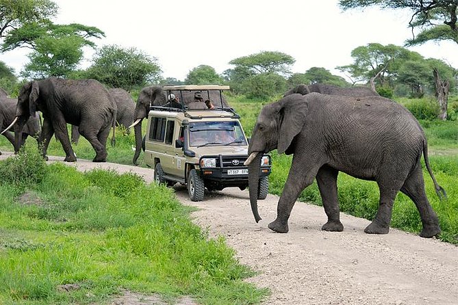 6 DAYS, 5 NIGHTS SMALL GROUP SAFARI WITH UPGRADED ACCOMMODATION TO MAASAI MARA, LAKE NAKURU AND AMBOSELI USING 4 X 4 LAND CRUISER