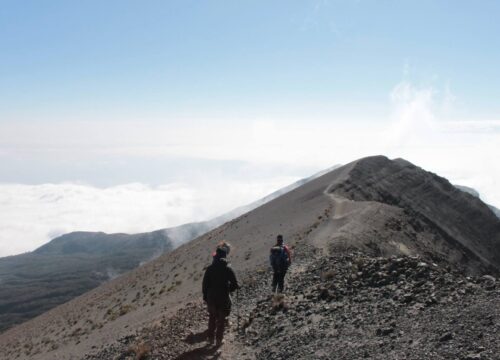 8 DAYS 7 NIGHTS MT KILIMANJARO TREKKING – RONGAI ROUTE