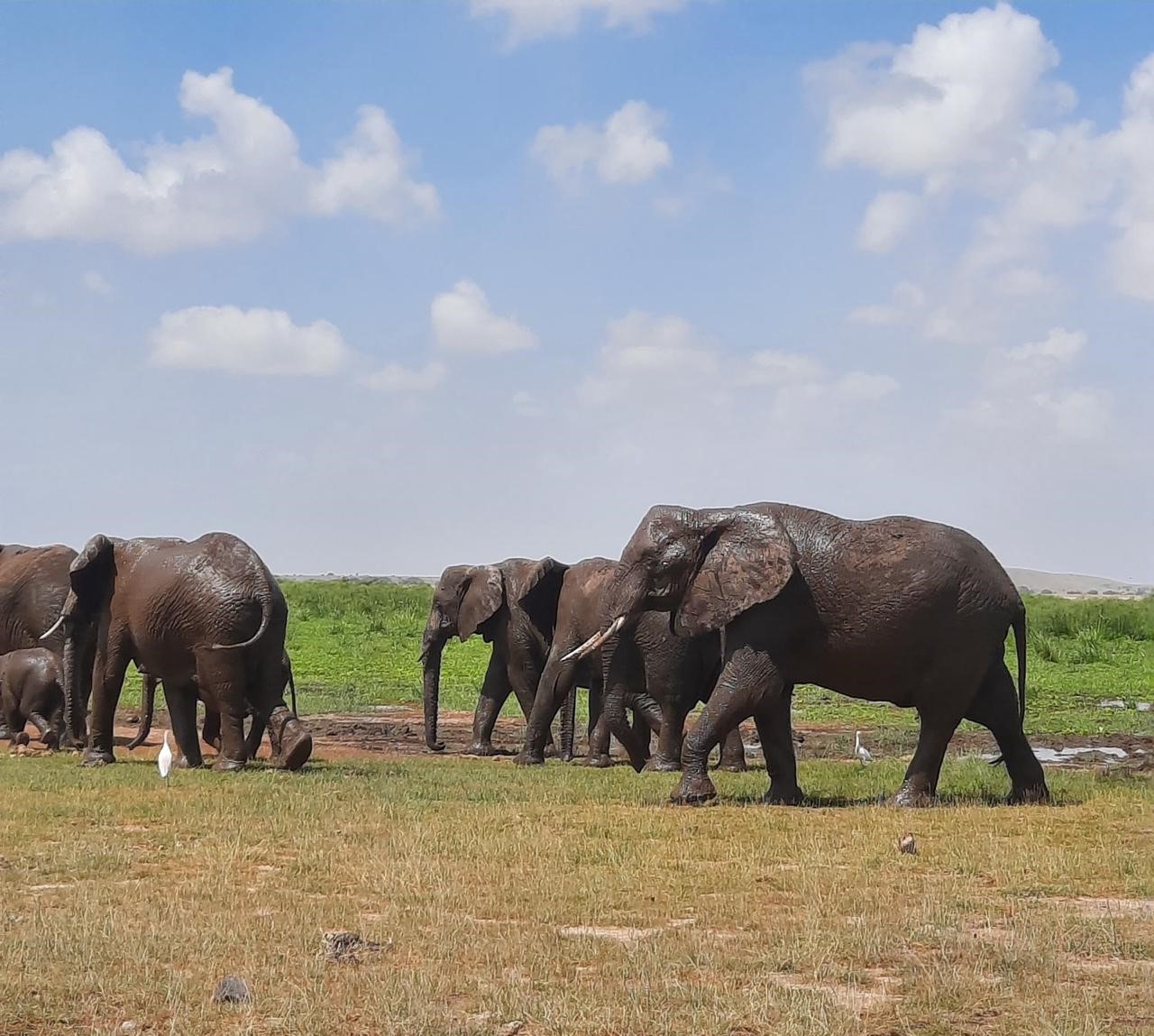 FULL DAY TOUR TO LAKE MANYARA NATIONAL PARK