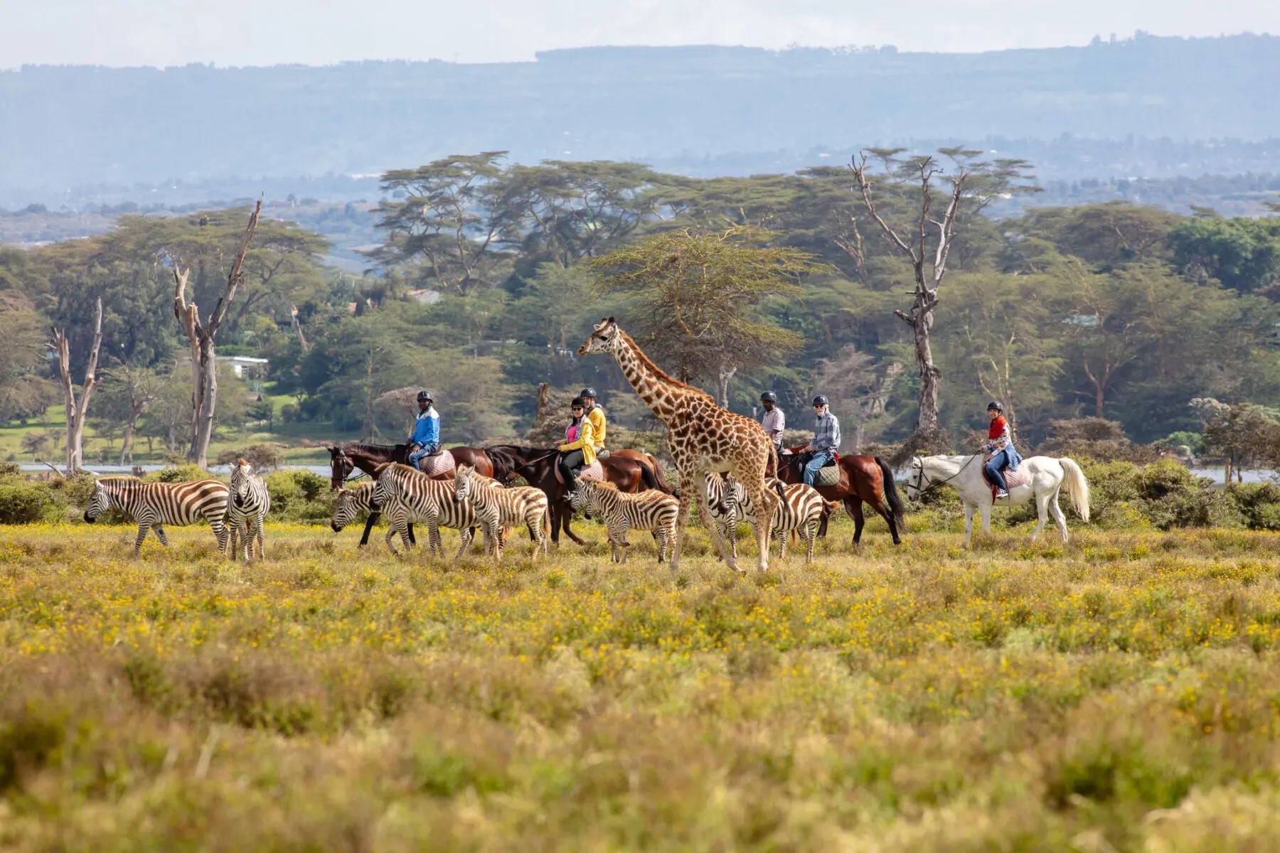 DAY TRIPS TO HELL’S GATE NATIONAL PARK AND HORSE RIDING AT SANCTUARY FARM.