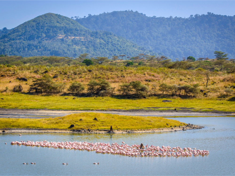 DAY TOUR TO ARUSHA NATIONAL PARK FROM ARUSHA.