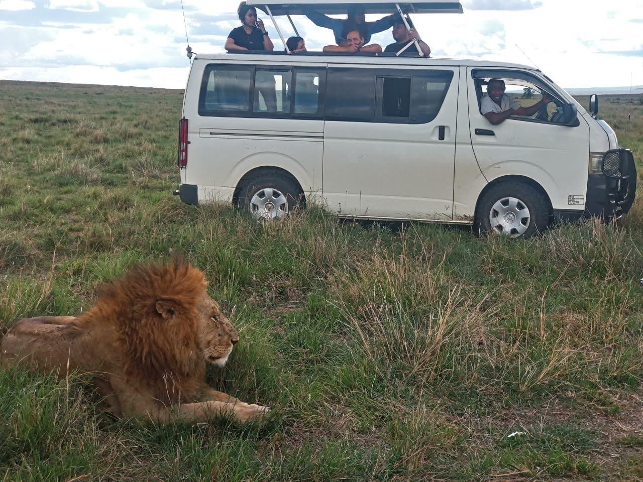 Day Tour To Nairobi National Park, Sheldrick Elephant Orphanage And Giraffe Centre