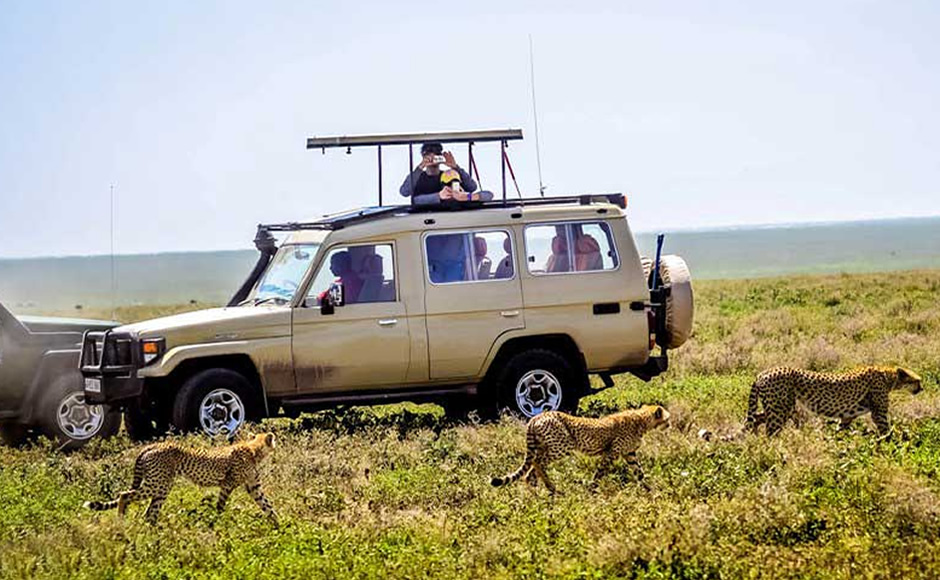3 DAYS, 2 NIGHTS MAASAI MARA GROUP JOINING BUDGET SAFARI IN A 4X4 LANDCRUISER JEEP- WITHOUT PARK FEES