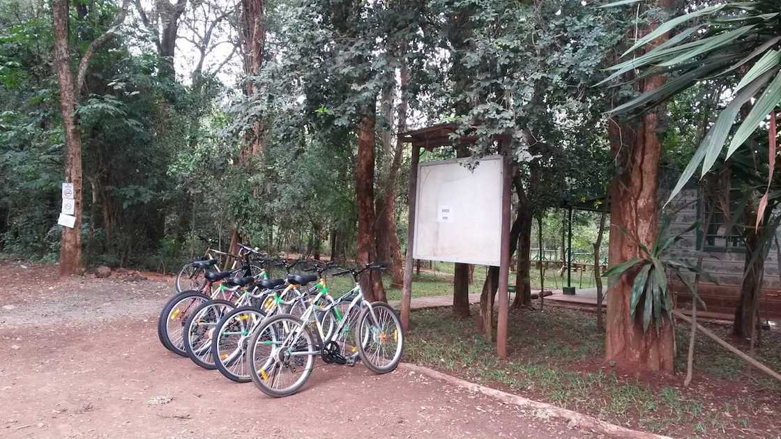 BIKING AT KARURA FOREST AT NAIROBI