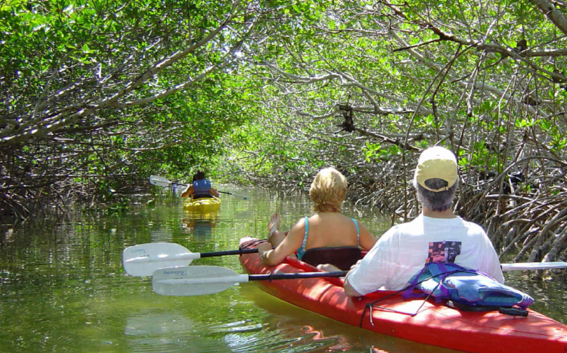 DAY TOUR TO FUNZI ISLAND- FROM DIANI