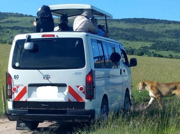 3 Days, 2 Nights Maasai Mara Group Joining Budget Safari With A Customized Safari Van-Without Park Fees